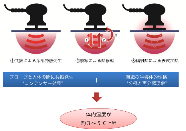 痩身 美容エステ部門 | 診療内容 | 熊本の美容外科・美容整形のハニー