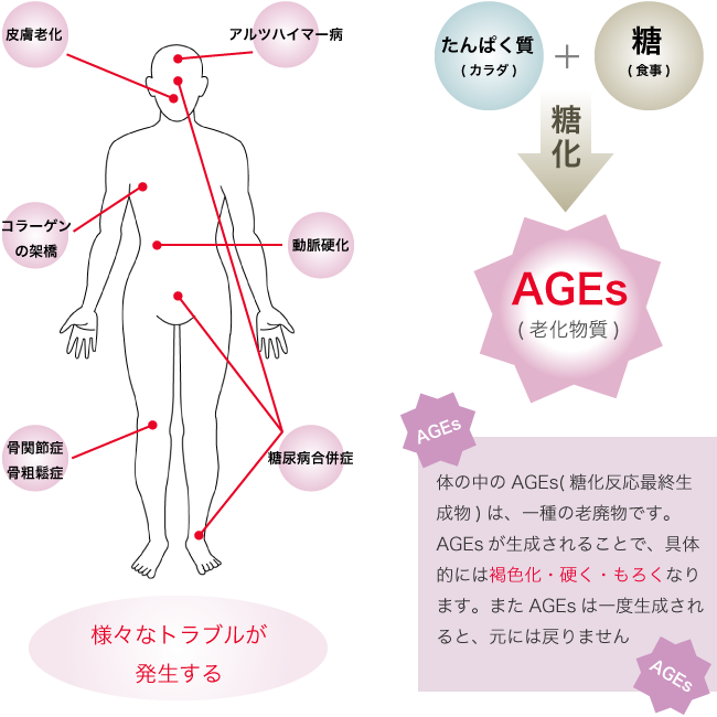 ホームスキンケア ハニークリニック 熊本の美容外科 エイジングケア アートメイク 脱毛 薄毛治療